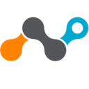 Netskope logo